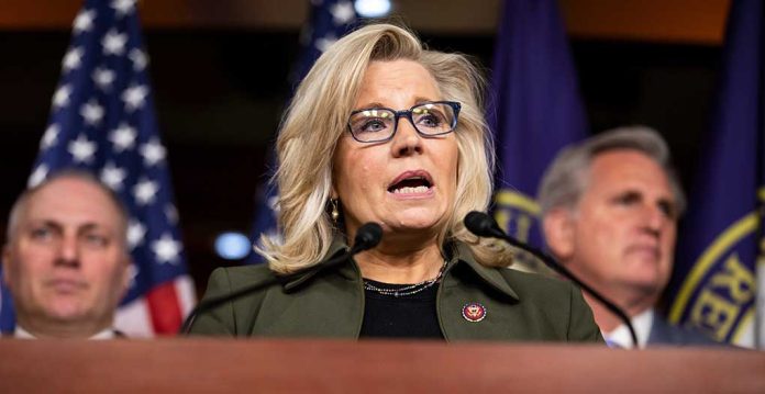 RNC Chair Tries to Help Liz Cheney With Jarring Claim