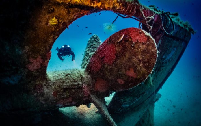 Shipwreck in Nearly Perfect Condition After 100 Years
