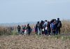 Group walking through a barren field carrying bags