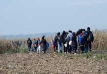 Group walking through a barren field carrying bags