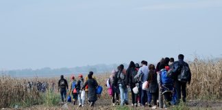 Group walking through a barren field carrying bags