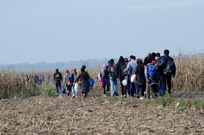 1973414846 featured image Group walking through a barren field carrying bags