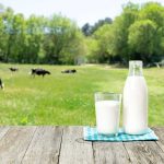 Milk bottle and glass on wooden table outdoors