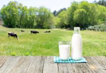 Milk bottle and glass on wooden table outdoors