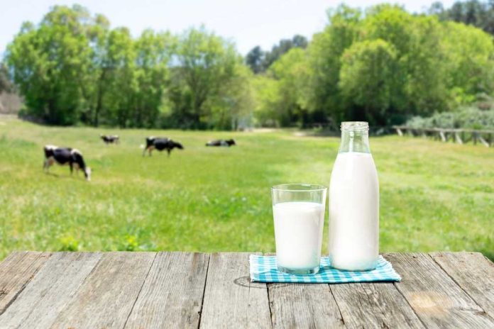 shutterstock_2444461993.jpg featured image Milk bottle and glass on wooden table outdoors
