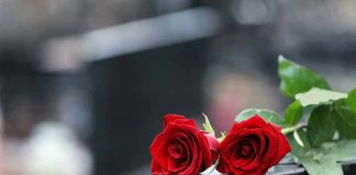 Kennedy Granddaughter DIES – Family Curse Strikes Again Two red roses on a gravestone.