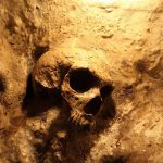 Over 100 Human Skulls FOUND at Home of Unhinged Man A skull embedded in a rocky surface, illuminated with warm lighting
