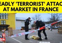 Freed Terrorist Strikes Again - Killed on Sight