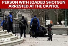 Gunman Arrested Outside Capitol - Secret Police SWOOP IN