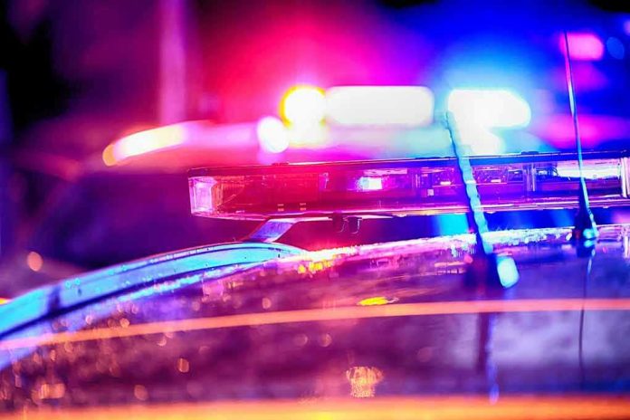 Police car lights flashing at night.