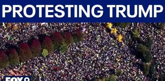 Anti-Trump Concert Announced - See Who's Headlining It