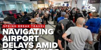 DHS Shutdown Chaos Jams TSA Checkpoints