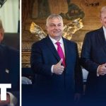 Trump Endorses Foreign Candidate - Why Now