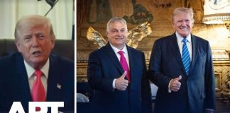 Trump Endorses Foreign Candidate - Why Now