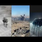 'Real Alien Sh*t': US Fighter Pilot Shot Down Over Iran Recalls 'Jellyfish Formation' of Drones