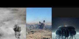 'Real Alien Sh*t': US Fighter Pilot Shot Down Over Iran Recalls 'Jellyfish Formation' of Drones