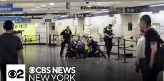 Man in custody after 6 people stabbed at Penn Station
