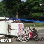 Horse carriage tragedy in NYC’s Central Park