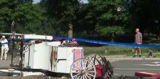 Horse carriage tragedy in NYC’s Central Park