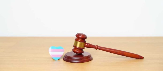 shutterstock_2304533485 A wooden gavel next to a heart-shaped transgender pride flag