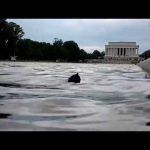 More people arrested for reflecting pool vandalism as former Olympian heads to court