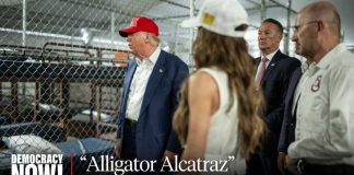 Where Are The Detainees? Hundreds of "Alligator Alcatraz" Prisoners Disappear from ICE Database