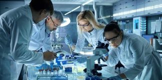 Scientists working together in a laboratory
