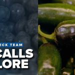 Jalapeños Trigger Multistate Food Panic Multiple US food recalls: Jalapeño to blueberry