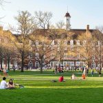 Unanimous Ban Roils Florida Universities Students relaxing on a campus quad in front of a brick academic building