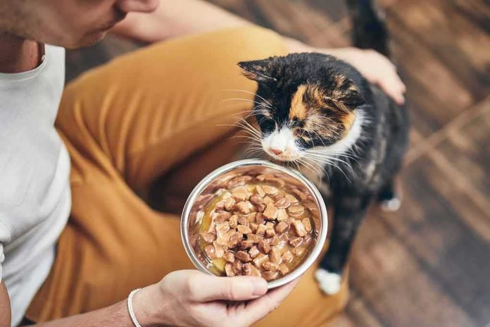 shutterstock_1334629832-1 calico cat sniffing a bowl of wet food held by a person