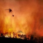 Largest Fire, Zero Answers Helicopter fights massive wildfire over burning forest