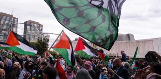 Dontrelle Inman and Christian Jones at a pro-Palestinian protest with flags waving