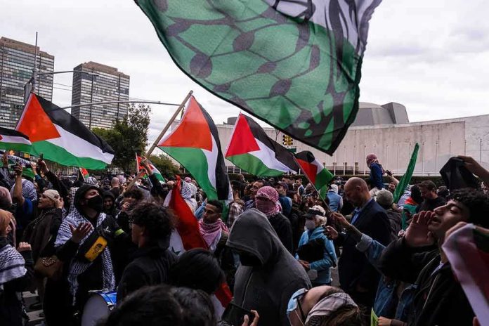 Dontrelle Inman and Christian Jones at a pro-Palestinian protest with flags waving