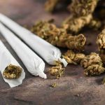 DNA Solves Brutal 14-Year-Old Murder Case Three cannabis joints beside loose marijuana buds