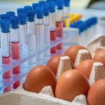 Eggs beside test tubes with blue caps in a lab setting