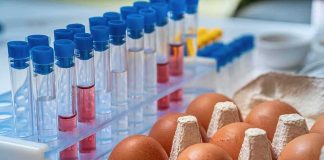 Eggs beside test tubes with blue caps in a lab setting