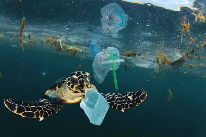 shutterstock_1772455853 sea turtle swimming amid plastic waste